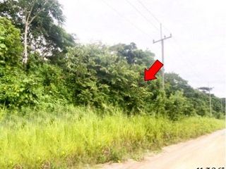 出售 土地 在 Ban Khai, Rayong