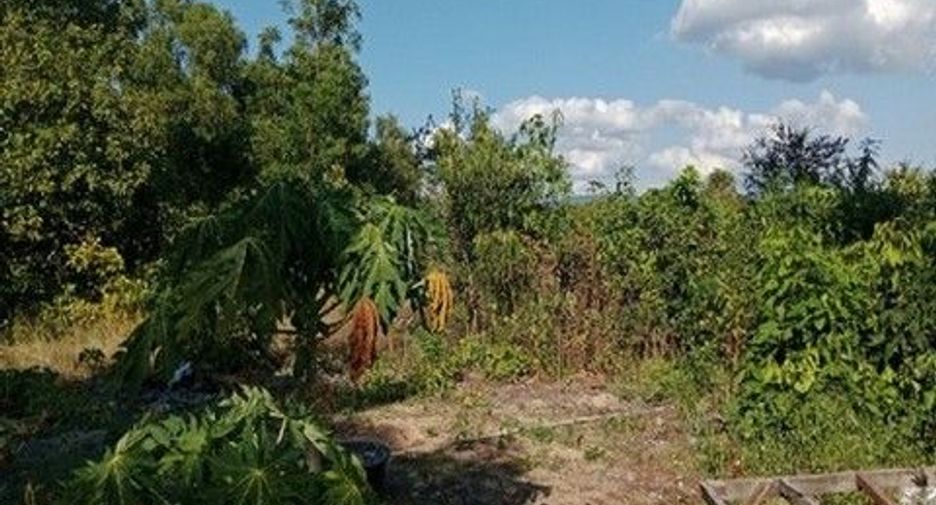 For sale land in Ban Khai, Rayong