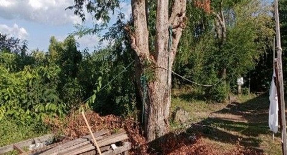 For sale land in Ban Khai, Rayong