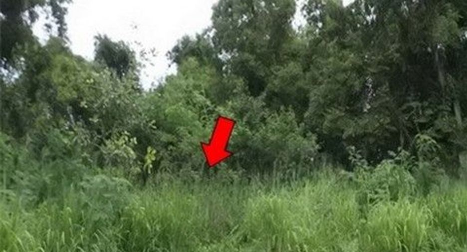 For sale land in Ban Khai, Rayong