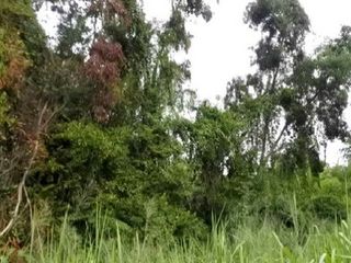 出售 土地 在 Ban Khai, Rayong