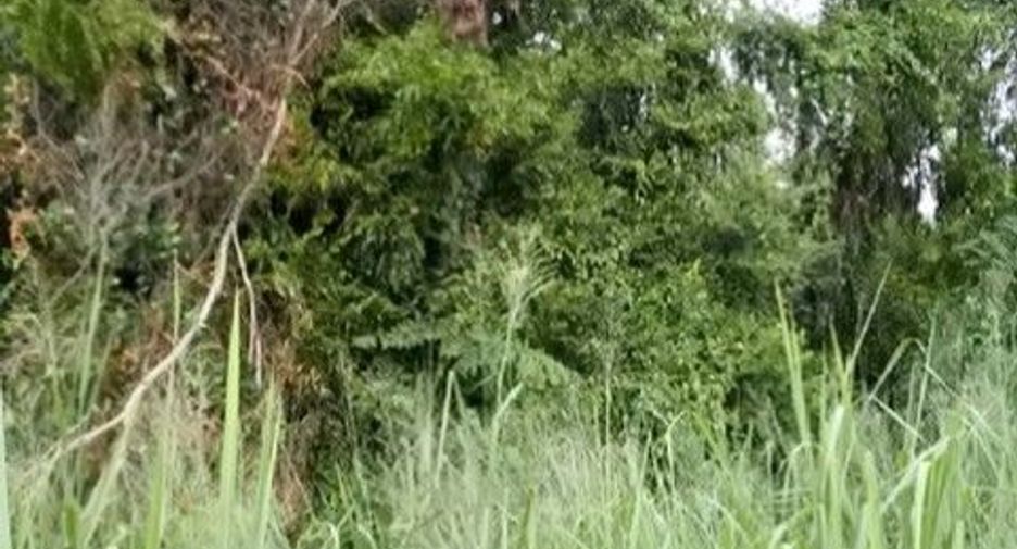 For sale land in Ban Khai, Rayong