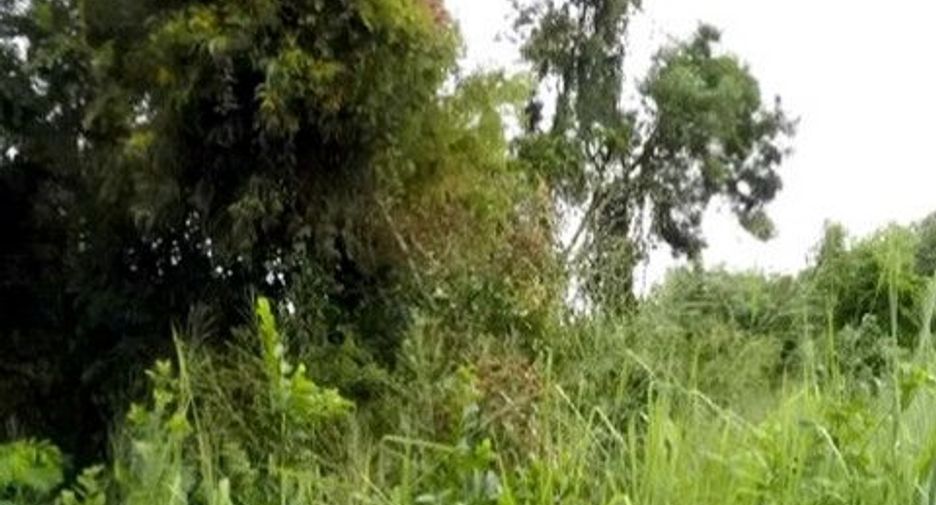 For sale land in Ban Khai, Rayong