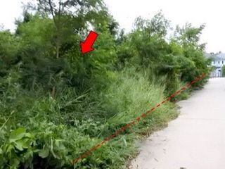 出售 土地 在 Ban Khai, Rayong