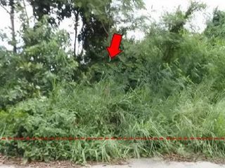 出售 土地 在 Ban Khai, Rayong