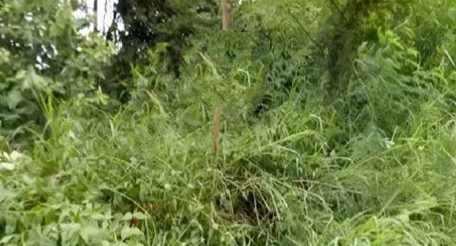 For sale land in Ban Khai, Rayong