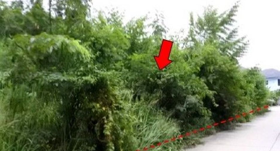 For sale land in Ban Khai, Rayong