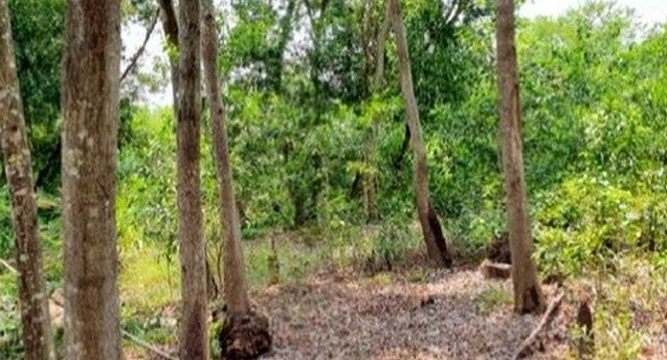 For sale land in Ban Khai, Rayong