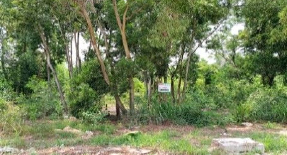 For sale land in Ban Khai, Rayong
