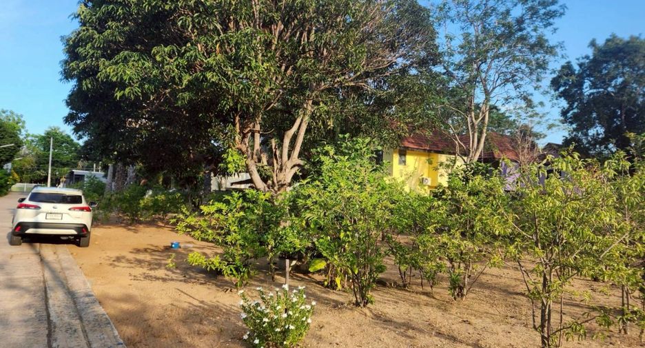 For sale land 