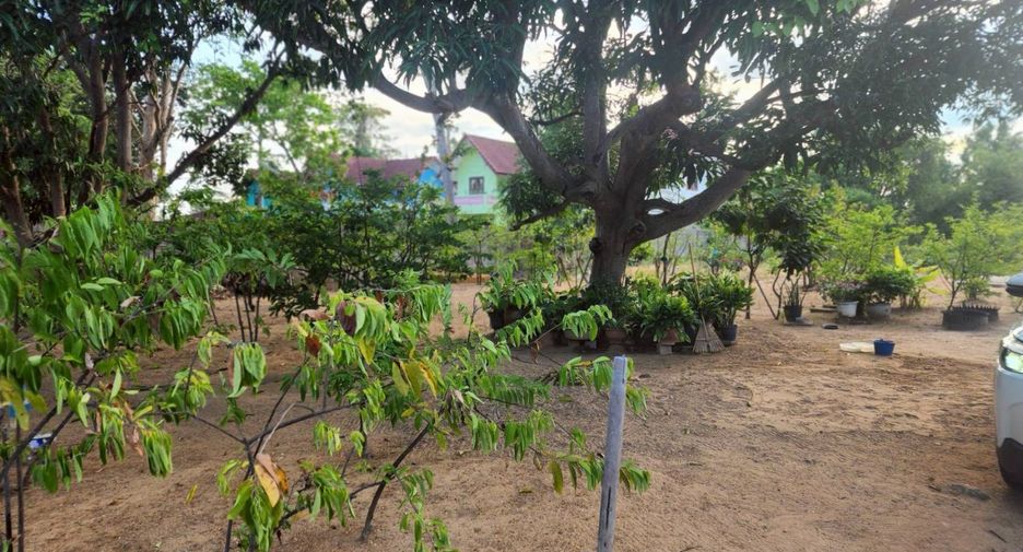 For sale land 