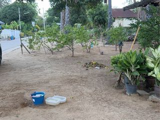 For sale land 