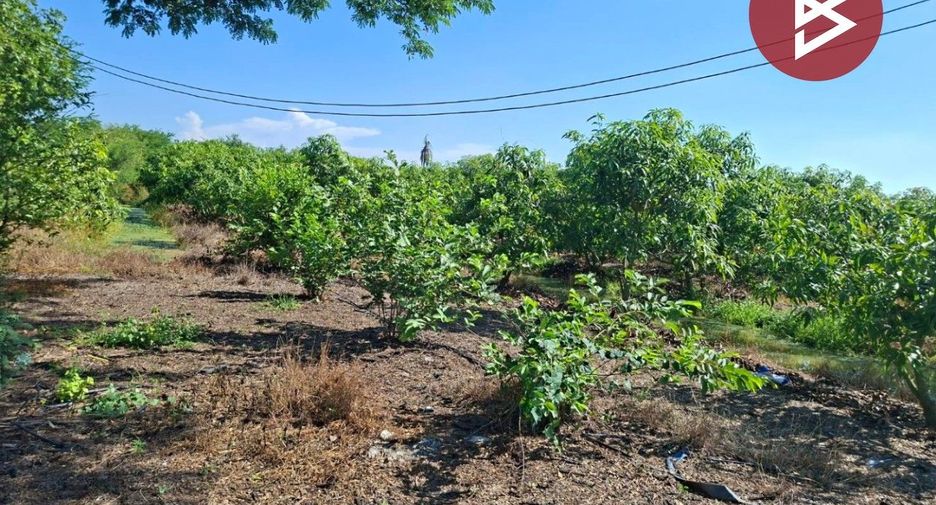 For sale land in Sam Chuk, Suphan Buri