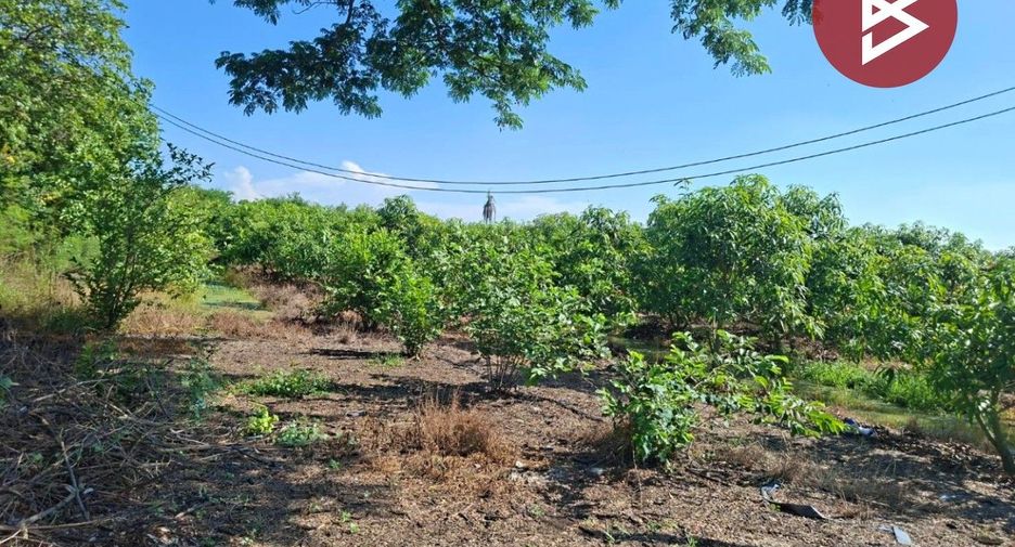 For sale land in Sam Chuk, Suphan Buri