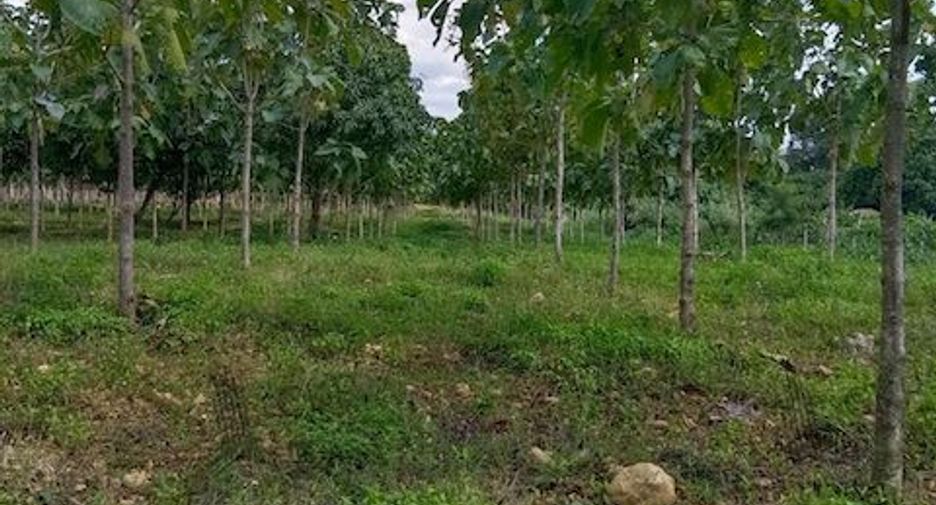 For sale land in Pak Chong, Nakhon Ratchasima