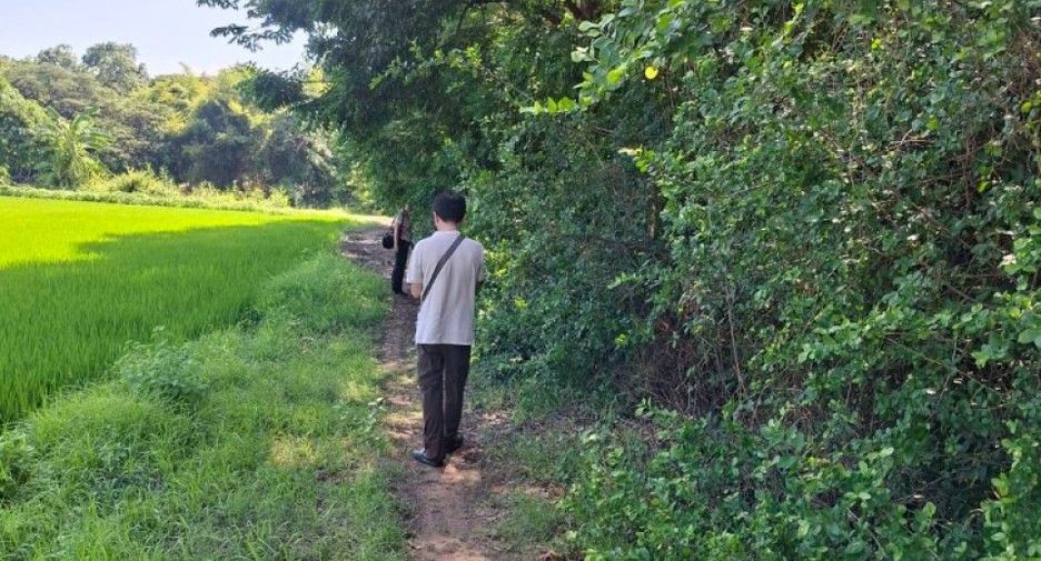 For sale land in Sam Chuk, Suphan Buri
