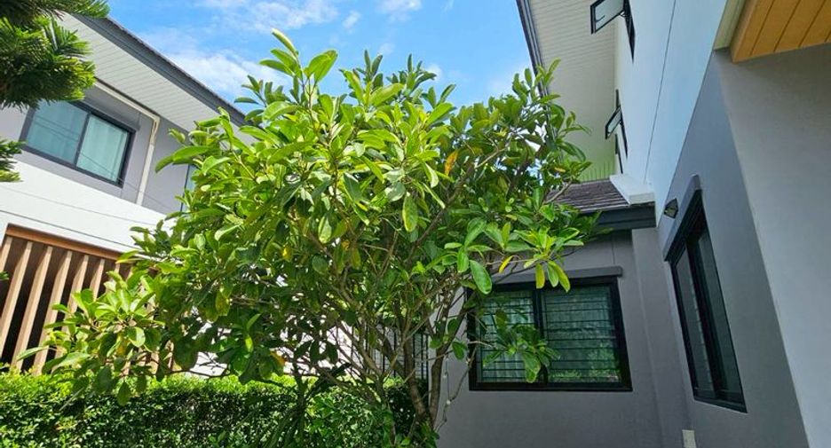 出租 和 出售 4 卧室 独立屋 在 Si Racha, Chon Buri