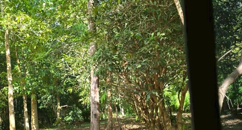 ขาย ที่ดิน ใน พัทยาตะวันออก, พัทยา