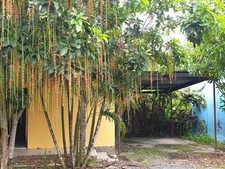出售 土地 在 Kapong, Phangnga