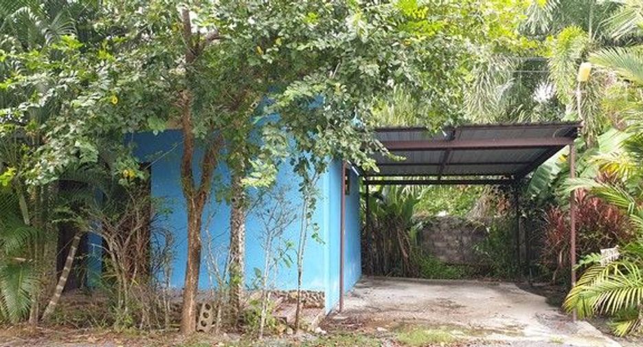 For sale land in Kapong, Phang Nga