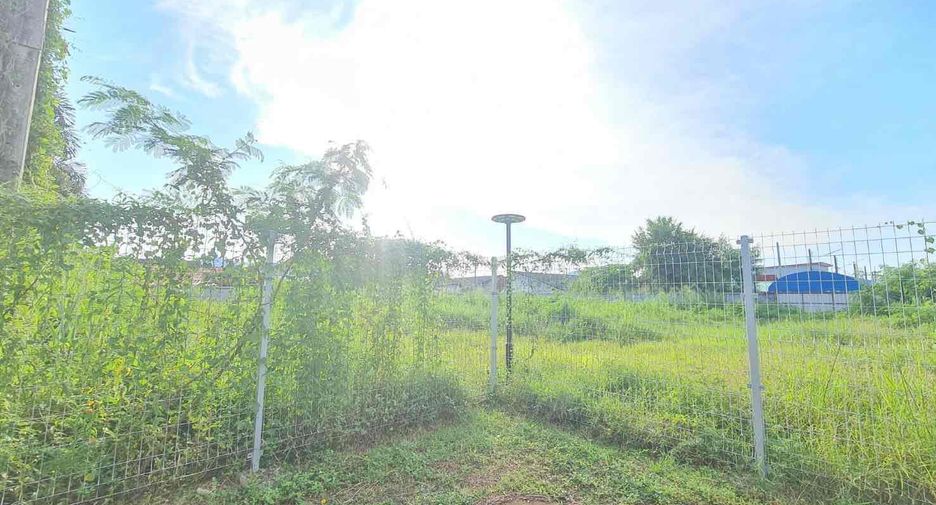 For sale そして for rent land in Sattahip, Chonburi