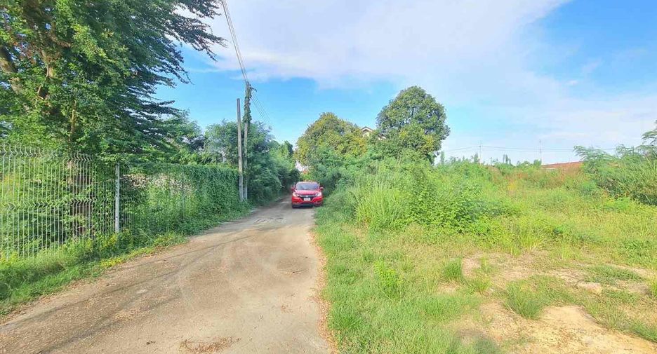 For sale そして for rent land in Sattahip, Chonburi