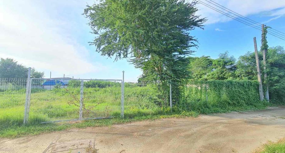 For sale そして for rent land in Sattahip, Chonburi