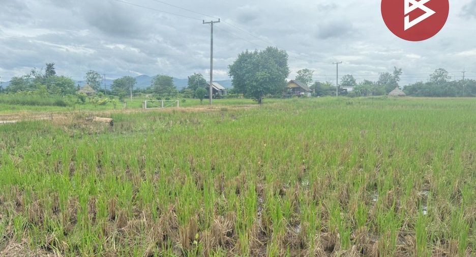À vendre terrain à Mae Taeng, Chiang Mai