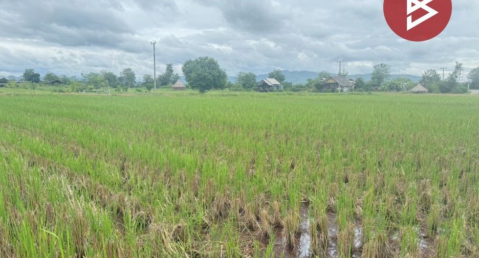 À vendre terrain à Mae Taeng, Chiang Mai