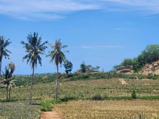 Grundstück zum Kauf in Pran Buri, Prachuap Khiri Khan