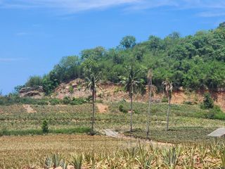 Grundstück zum Kauf in Pran Buri, Prachuap Khiri Khan