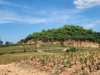 Grundstück zum Kauf in Pran Buri, Prachuap Khiri Khan
