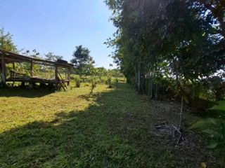 For sale land in Mueang Chiang Rai, Chiang Rai
