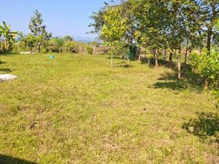 For sale land in Mueang Chiang Rai, Chiang Rai
