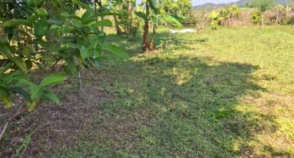 Grundstück zum Kauf in Mueang Chiang Rai, Chiang Rai