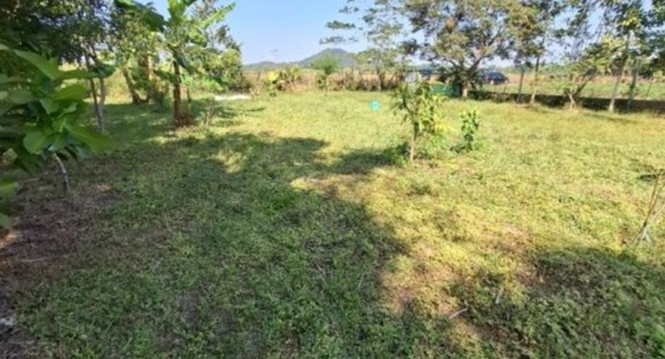 Grundstück zum Kauf in Mueang Chiang Rai, Chiang Rai