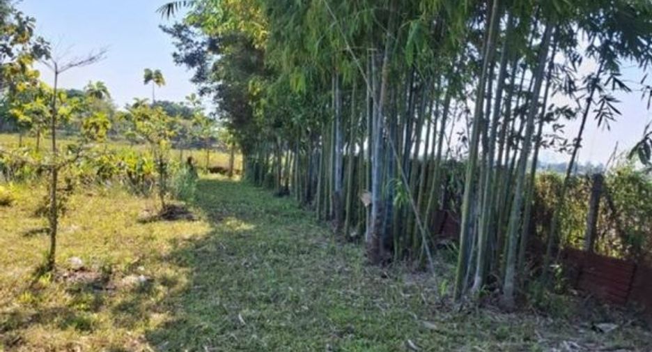 Grundstück zum Kauf in Mueang Chiang Rai, Chiang Rai