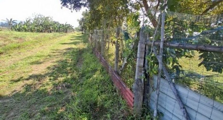 Grundstück zum Kauf in Mueang Chiang Rai, Chiang Rai