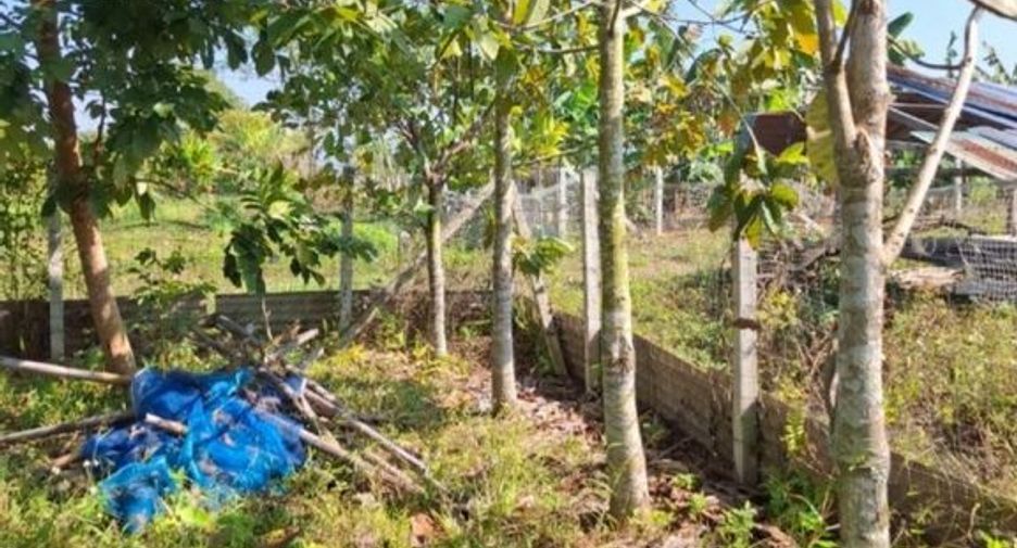 Grundstück zum Kauf in Mueang Chiang Rai, Chiang Rai