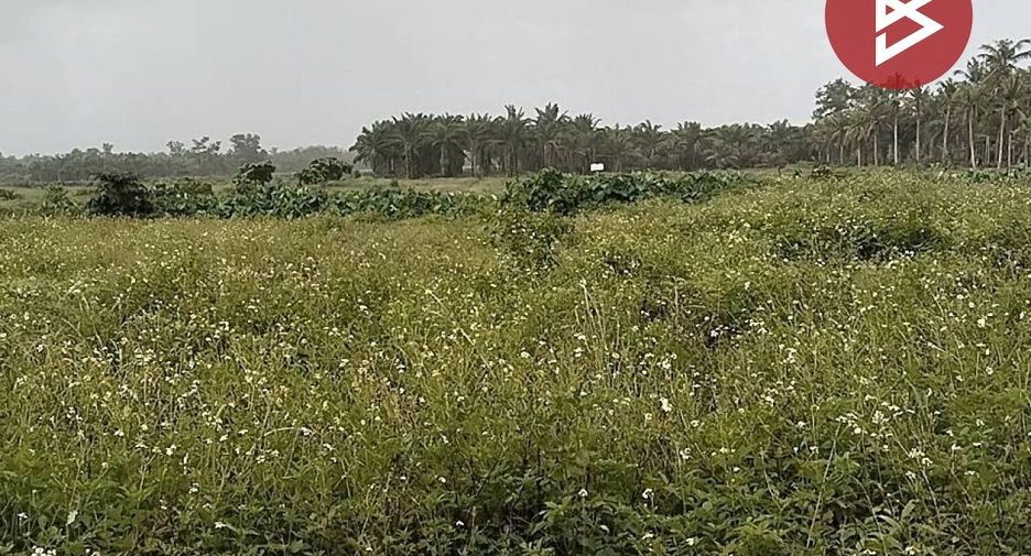 For sale land in Mueang Chumphon, Chumphon