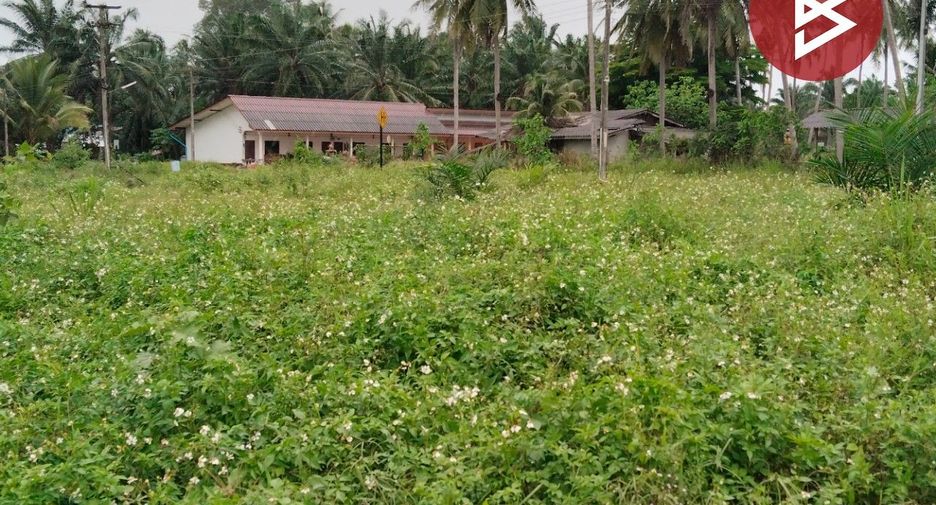 For sale land in Mueang Chumphon, Chumphon
