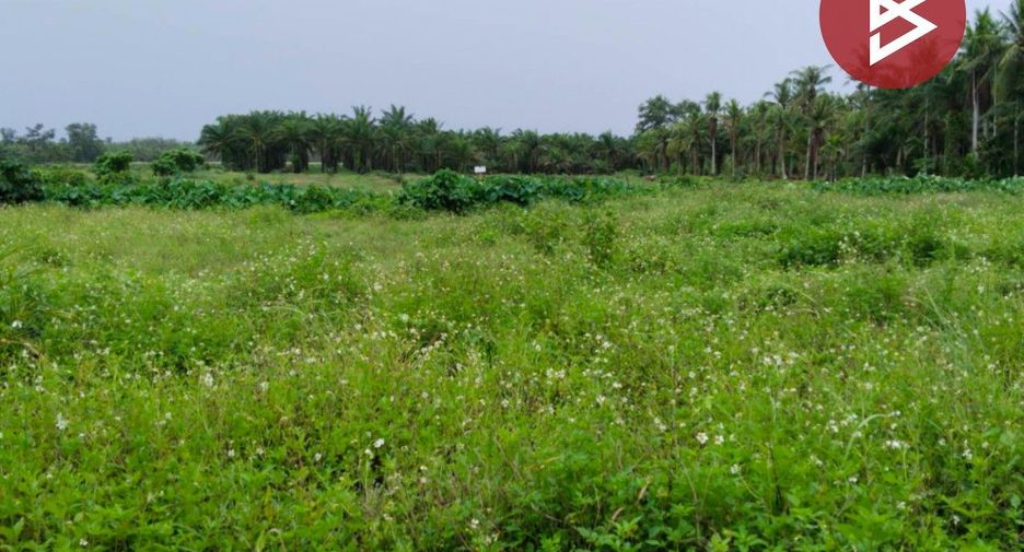 For sale land in Mueang Chumphon, Chumphon