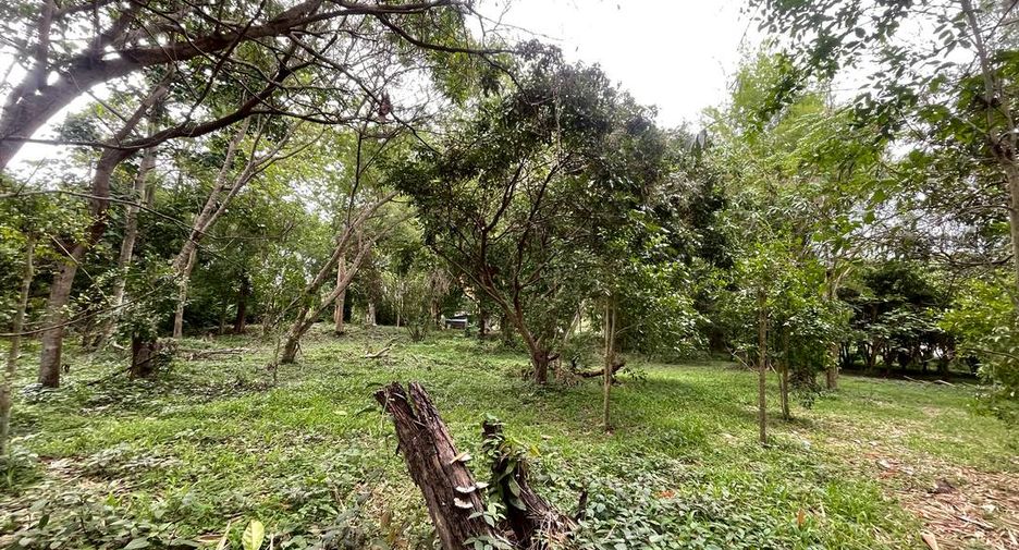 出售 土地 在 Mueang Chiang Mai, Chiang Mai