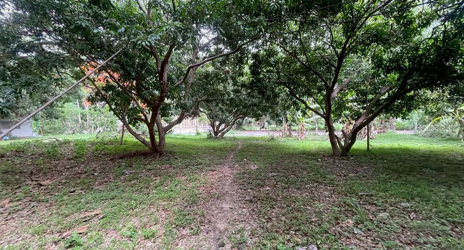 出售 土地 在 Mueang Chiang Mai, Chiang Mai