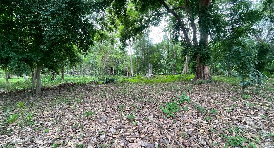 出售 土地 在 Mueang Chiang Mai, Chiang Mai