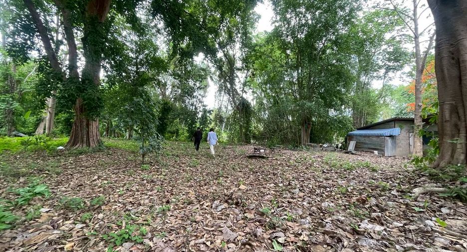 出售 土地 在 Mueang Chiang Mai, Chiang Mai