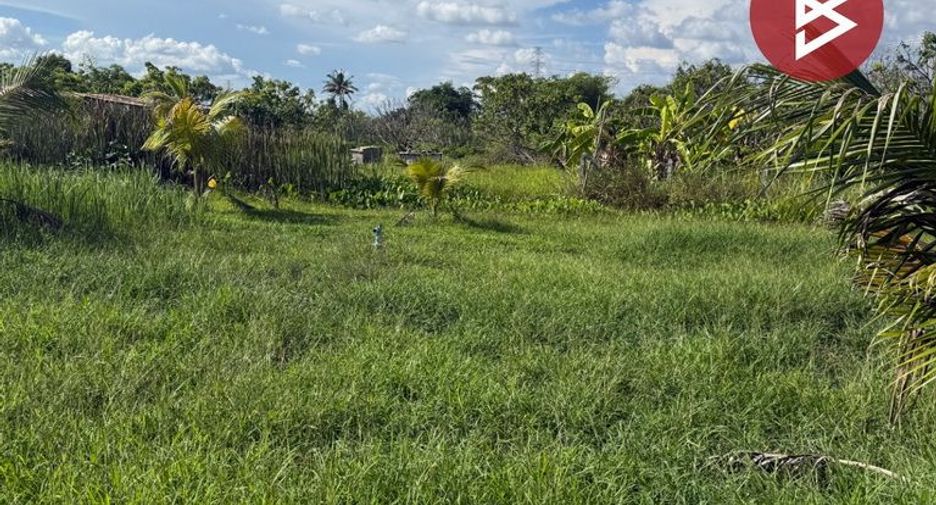 For sale land in Mueang Lamphun, Lamphun
