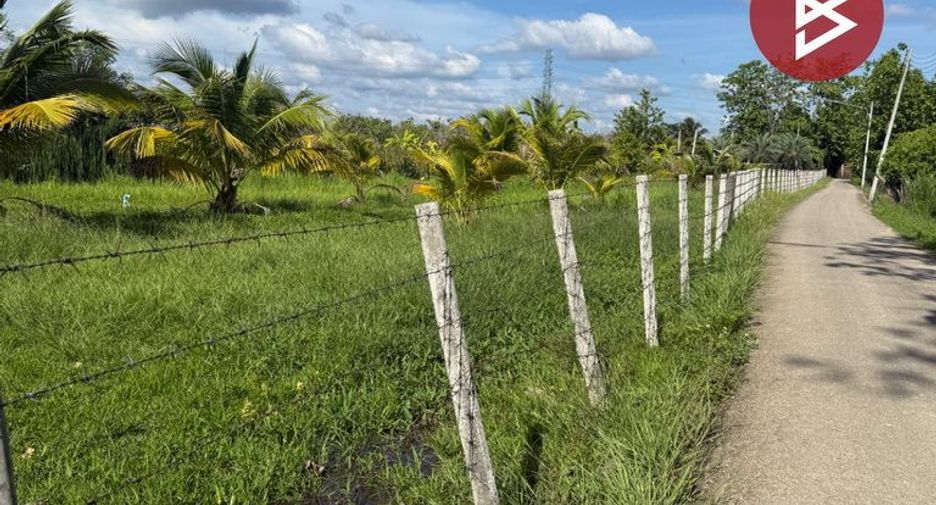 For sale land in Mueang Lamphun, Lamphun