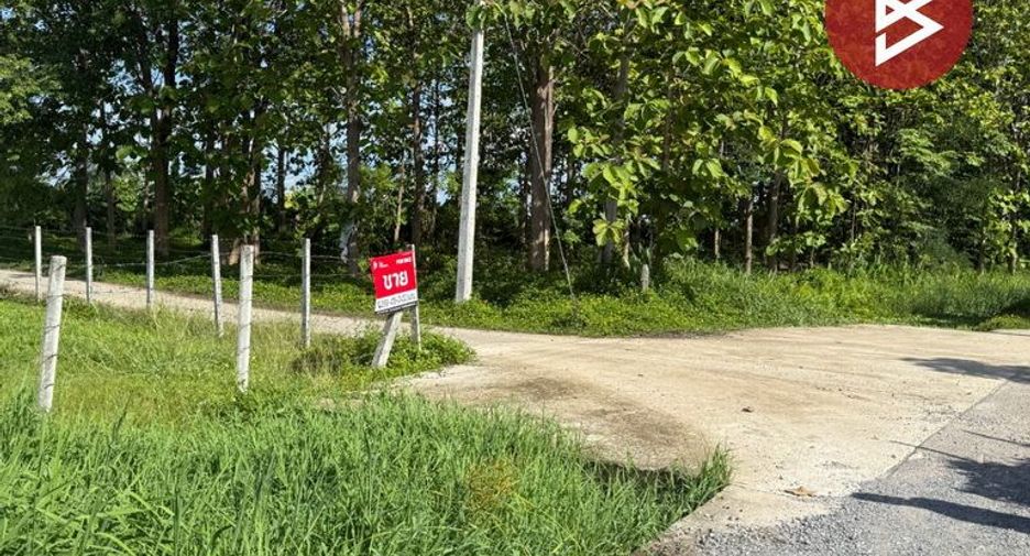 For sale land in Mueang Lamphun, Lamphun