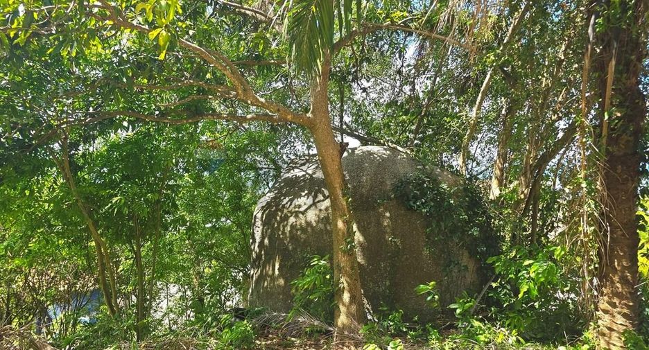 For sale land in Ko Samui, Surat Thani
